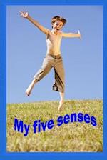 My Five Senses: See, hear, taste, smell and feel. 