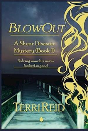 BlowOut: A Shear Disaster Mystery (Book One)