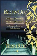 BlowOut: A Shear Disaster Mystery (Book One) 
