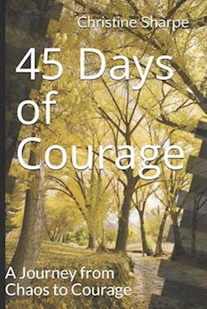 45 Days of Courage: A Journey from Chaos to Courage