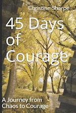 45 Days of Courage: A Journey from Chaos to Courage 