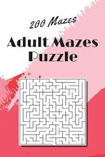 Adult Mazes Puzzle