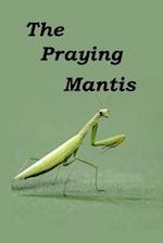 The Praying Mantis: All about being a Praying Mantis. 