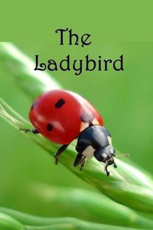 The Ladybird: Life cycle of the Ladybird