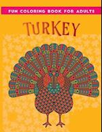 fun coloring book for adults turkey