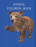 Animal Coloring Book