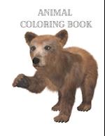 Animal Coloring Book