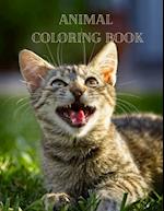 Animal Coloring Book