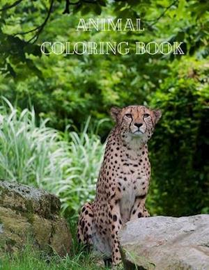 Animal Coloring Book