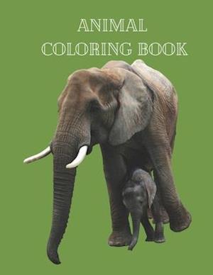 Animal Coloring Book