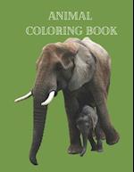 Animal Coloring Book