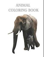 Animal Coloring Book