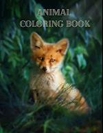 Animal Coloring Book