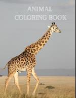 Animal Coloring Book