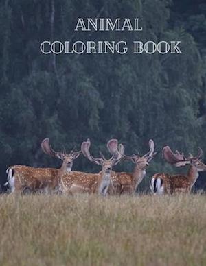 Animal Coloring Book