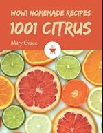 Wow! 1001 Homemade Citrus Recipes