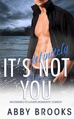 It's Definitely Not You: An Enemies-to-Lovers Romantic Comedy 