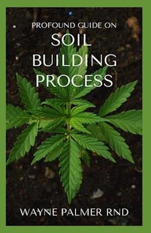 Profound Guide on Soil Building Process