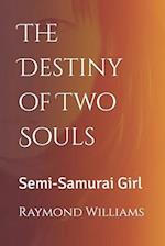 The Destiny of Two Souls: Semi-Samurai Girl 