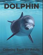 Dolphin Coloring Book for Adults