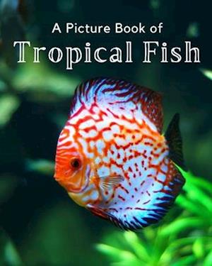 A Picture Book of Tropical Fish: A Beautiful Picture Book for Seniors With Alzheimer's or Dementia.