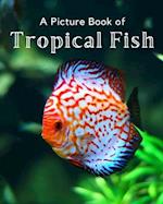 A Picture Book of Tropical Fish: A Beautiful Picture Book for Seniors With Alzheimer's or Dementia. 