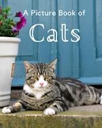 A Picture Book of Cats: A Beautiful Picture Book for Seniors With Alzheimer's or Dementia. A Wonderful Gift for Cat Lovers. 