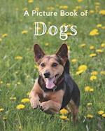 A Picture Book of Dogs: A Beautiful Picture Book for Seniors With Alzheimer's or Dementia. Makes a Great Gift For Dog Lovers! 