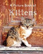 A Picture Book of Kittens: A Beautiful Picture Book for Seniors With Alzheimer's or Dementia. A Wonderful Gift For Cat Lovers. 