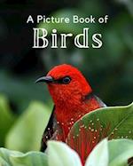 A Picture Book of Birds: A Beautiful Picture Book for Seniors With Alzheimer's or Dementia. A Perfect Gift For Bird Lovers! 