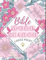 Bible Word search large print