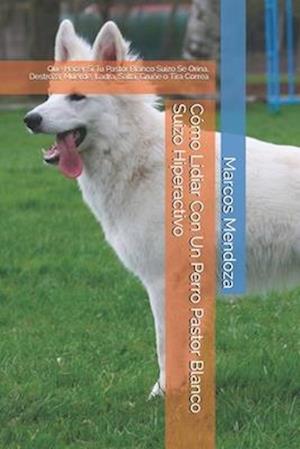 Cómo Lidiar Con Un Perro Pastor Blanco Suizo Hiperactivo