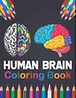 Human Brain Coloring Book: Human Body Anatomy Coloring Book For Medical, High School Students. Anatomy Coloring Book for kids. Human Brain Anatomy Col