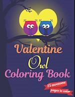 Valentine Owl Coloring Book