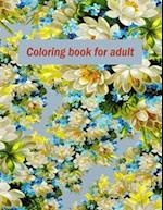 Coloring book for adult