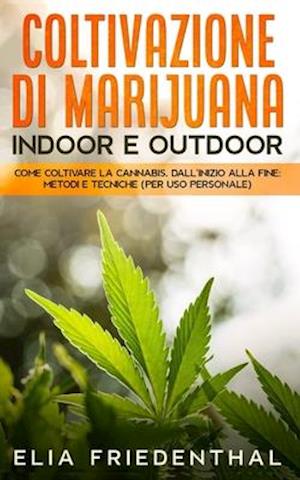 COLTIVAZIONE DI MARIJUANA indoor e outdoor