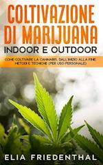 COLTIVAZIONE DI MARIJUANA indoor e outdoor