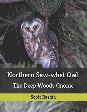 Northern Saw-whet Owl