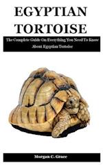 Egyptian Tortoise : The Complete Guide On Everything You Need To Know About Egyptian Tortoise 