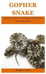 Gopher Snake: A Beginner's Guide On Everything You Need To Know About Gopher Snake 