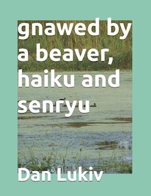 gnawed by a beaver, haiku and senryu