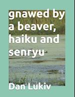 gnawed by a beaver, haiku and senryu