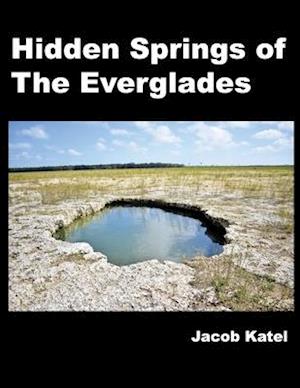 Hidden Springs of The Everglades