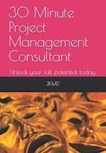 30 Minute Project Management Consultant: Unlock your full potential today 