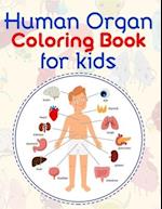 Human Organ Coloring Book For Kids