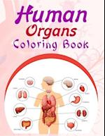 Human Organs Coloring Book