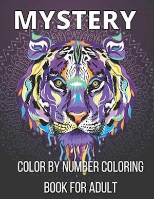 Mystery Color By Number Coloring Book For Adult