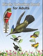 Birds Coloring Book for Adults