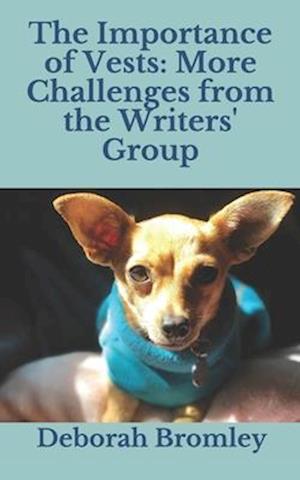 The Importance of Vests: More Challenges from the Writers' Group