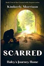 Scarred:: Haley's Journey Home 